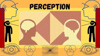 What is Perception Faculties of the Mind [upl. by Arreyt]