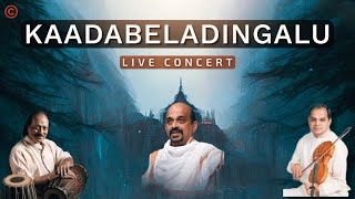 Kaada Beladingalu  Dr Vidyabhushan  Devotional Song  Dasara Padagalu  Inidani  Live Concert [upl. by Gallard62]