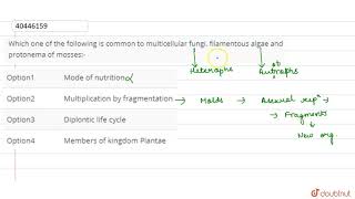 Which one of the following is common to multicellular fungi filamentous algae [upl. by Berny]