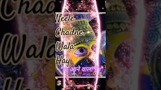 Sab jhoomo nachoo shyam bhajan kanhiyamittal shyam baba shorts lyrics viralshorts [upl. by Solegna]