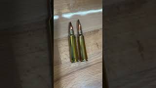 comparison 75x55 vs 65x55 Lapua Scenar L 175gr vs 136gr Bullet swiss sweden bulletlover [upl. by Usanis372]