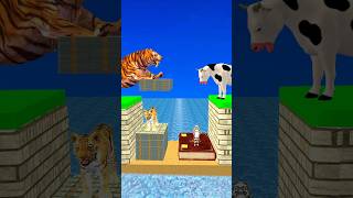 New Money vs Knowledge With Cartoon Cow vs Tiger What Do Choose Shorts Cartoon Viral [upl. by Akceber]