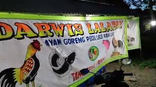 Darwis Lalapan Ayam Goreng  Pecel Lele  Ikan Laut [upl. by Onaicram651]