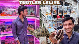 Turtles Leliya Fishes Bhi Leli kia  FOUNTAIN Small Bangya kia  Pet House [upl. by Necyla98]