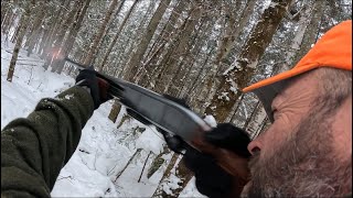 Deer Hunting on Fresh Snow [upl. by Margaux]