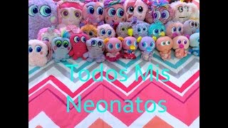 Todos Mis Neonatos 💕  SIGOTOS Distroller 💕 [upl. by Matthus]