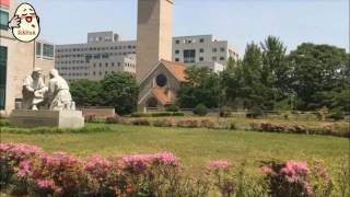 A Tour of Sejong University [upl. by Eyla29]