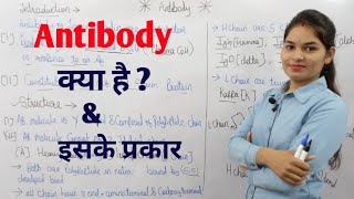 What is Antibody   Types of Antibody  एंटीबॉडी क्या है  एंटीबॉडी के प्रकार  By Manisha Maam [upl. by Julissa]