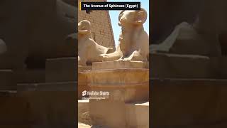 Unbelievable Wonders of the Sphinxes’ Pathway AvenueOfSphinxes Egypt Luxor [upl. by Carma355]