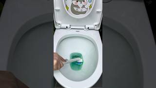 Toilet cleaning brush cleaning toiletbrush shorts [upl. by Ellwood]