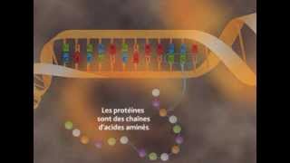 Les effets des rayonnements sur la santé [upl. by Ennyl]