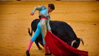 Bullfighting Event Cancelled After All Matadors Gored by Bulls [upl. by Inanaup]