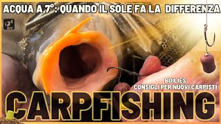 CARPFISHING INVERNALE ACQUA a 7° Il SOLE Ha Fatto la DIFFERENZA [upl. by Brook]