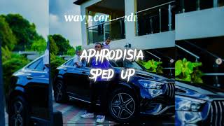 Teejay  Aphrodisia Sped Up TikTok Version trending dancehall teejay music [upl. by Ajssatan574]