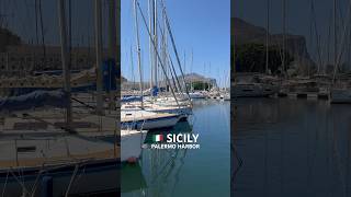 🇮🇹 PALERMO HARBOR sicily italy yacht palermo sailing youtubeshorts shorts travel 2024 [upl. by Alon]