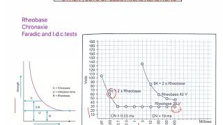 Rheobase and Chronaxie Electrodiagnosis part 3 LOW FREQUENCY [upl. by Kcirtapnaes]