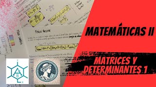 Matrices y determinantes 1 [upl. by Anaeed]