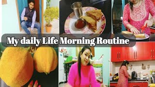 my days now resetting my home daily routine vlog  यह सब मेरे साथ ही होता है या आपके साथ भी🤷‍♀️ [upl. by Einaffets]