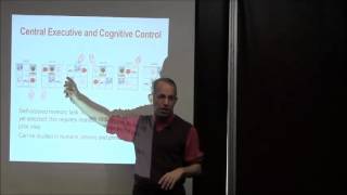 Chapter 9 Working Memory and Cognitive Control [upl. by Hadleigh61]