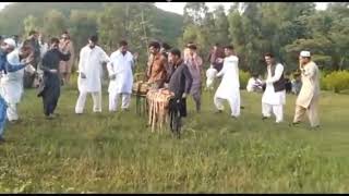 Hazara Dhol Dance By Hazara Channel Vlogs [upl. by Bibby]