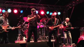 Hansonics  Halb so schlimm Live in Worpswede am 22052015 [upl. by Wilek597]