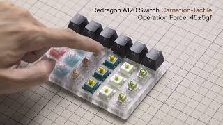 Redragon A120 Switches Sound Test [upl. by Manlove]