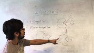 Enzymes Cofactors and Inhibitors [upl. by Attebasile]