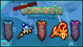 Lets Play Terraria 13 Expert Mode PC  Want Some More Deaths With That Death 37 [upl. by Okorih905]