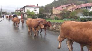 feria de cieza 6112016 [upl. by Boothman185]