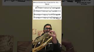 Brandenburg Concerto No 1 TRIO Horn Excerpts hornsolo [upl. by Ahseikram710]