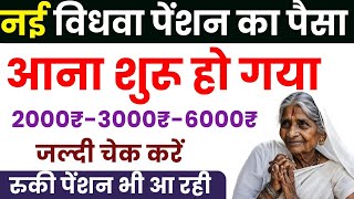 New Widow Pension Aa Gayi 2024  July August September ki vidhva pension Kab Aaegi [upl. by Aihcsrop92]