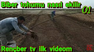 Biber tohumu nasıl ekilir  biber yetiştiriciliği tohum ekimi fidesi mersin Rençber tv ilk videosu [upl. by Ylek]