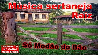 Sertanejo Raiz  Só Modão do Bão [upl. by Rybma]