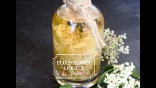 How to make delicate Elderflower liqueur [upl. by Petulah]