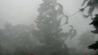 High Wind Thunderstorm [upl. by Taylor]