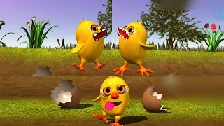 Tres Caras de El Pollito Pio en Diferentes Efectos HD 🐤🐤🐤 [upl. by Fugere]