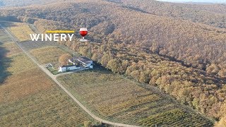 SoberBash Winery near Krepostnaya Shot on DJI Spark [upl. by Nnylyam]