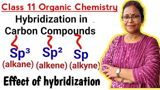 hybridizationhybridization in carbon compounds sp³sp² and sp hybridizationClass 11 Chemistry [upl. by Aleahpar]