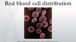 Red blood cell distribution width [upl. by Salamone]