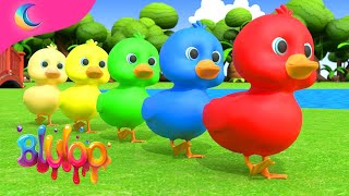 Five Little Ducks Song  Colorful Ducks  BluLoo Nursery Rhymes amp Kids Songs [upl. by Norma]