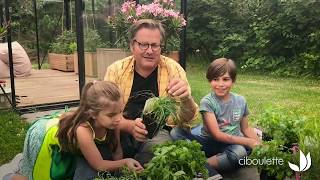 Découvrir les plantes aromatiques avec les enfants Eddy Saveur  Truffaut [upl. by Einyaj]