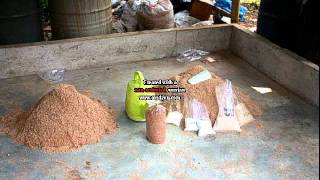 Budidaya Jamur Tiram or Oyster Mushroom Cultivation [upl. by Aikim]