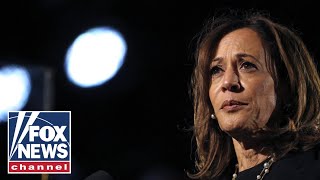 VP Harris coronation was an epic disaster says DNC official [upl. by Ellenuahs]