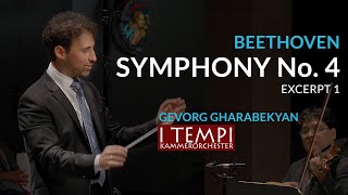 Beethoven Symphony Nr 4  I TEMPI  Gharabekyan excerpt 1 Mov [upl. by Reehsab526]