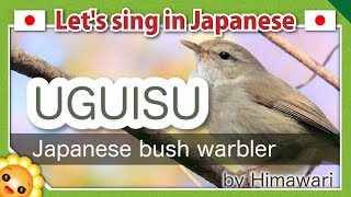 【Japanese bush warblerうぐいすUguisu】Japanese folk songs in romaji by Himawari [upl. by Yuji]