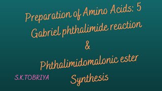 GABRIEL PHTHALIMIDE amp PHTHALIMIDOMALONIC ESTER SYNTHESIS [upl. by Cnut]