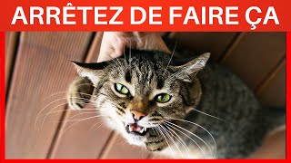 20 Choses que vous DEVEZ arrêter de faire à votre Chat [upl. by Nowell341]