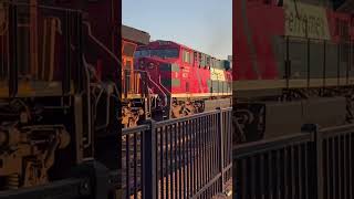 FXE 4631 trails 3rd on BNSF intermodal train through Joliet on 1052024 [upl. by Yehtomit196]