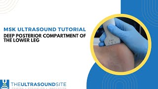 Musculoskeletal ultrasound evaluation of the deep posterior compartment of the lower leg [upl. by Claiborne]