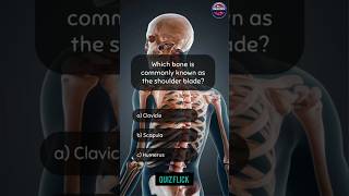 Anatomy Quiz challenge part 304shorts [upl. by Ahsoj]